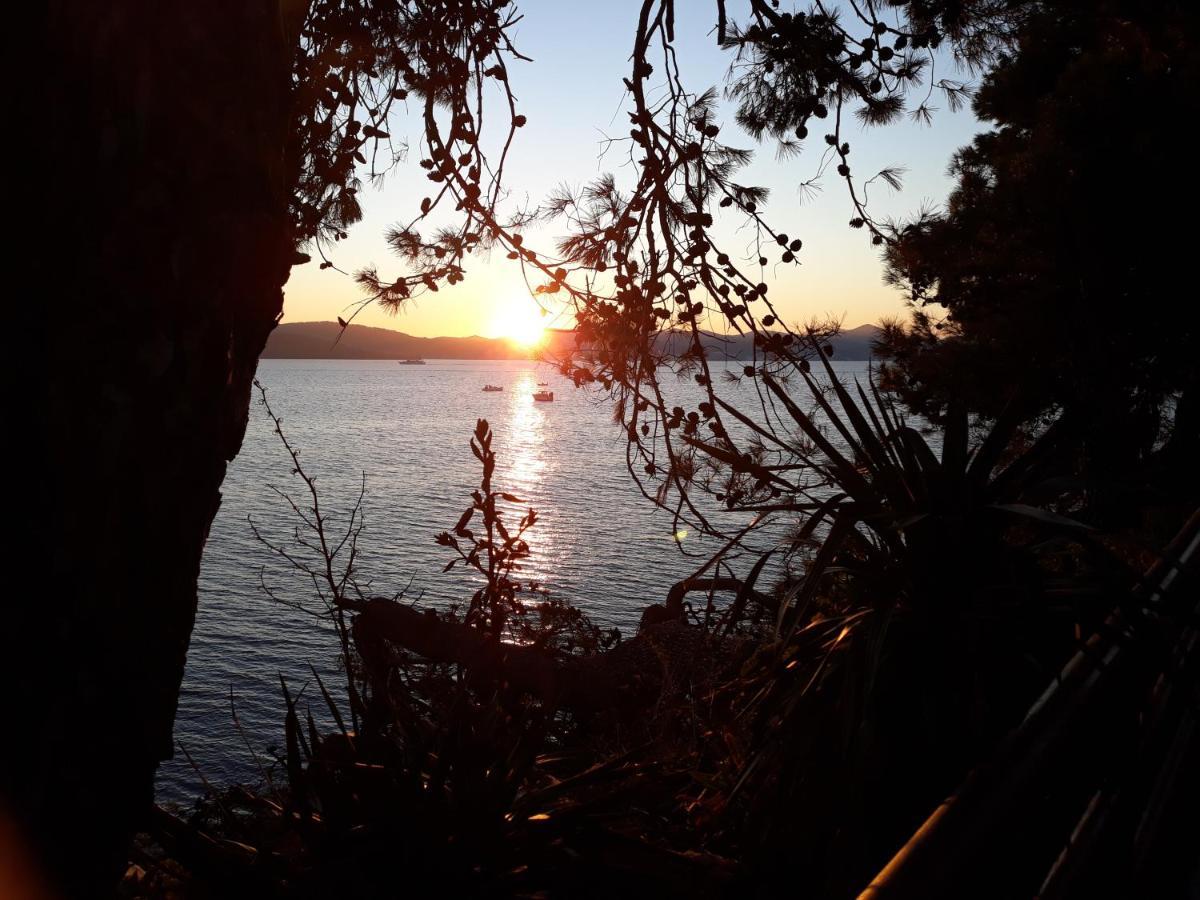 Apartman Milo - Zadar Extérieur photo