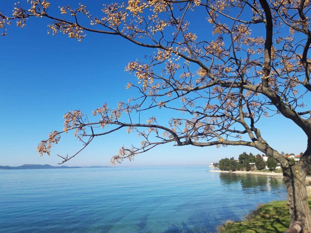 Apartman Milo - Zadar Extérieur photo